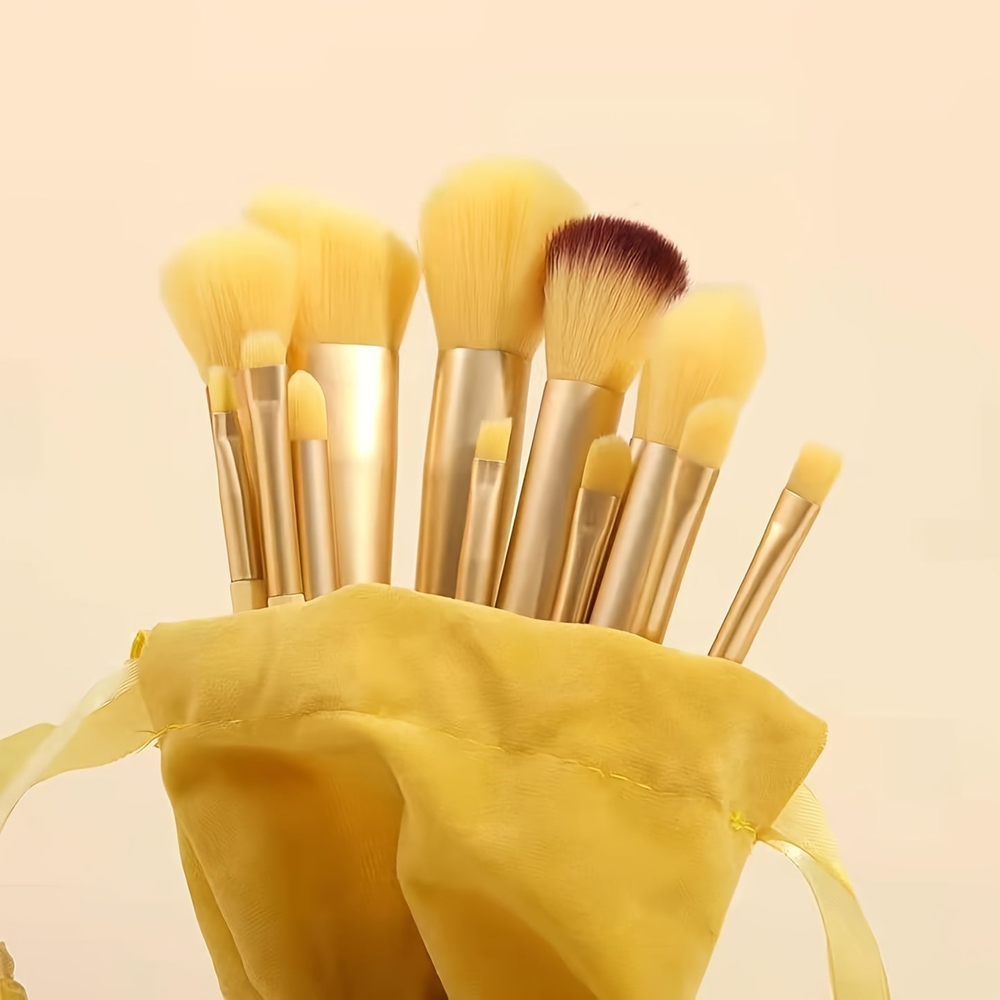 Luxurious 13-Piece Makeup Brush Set